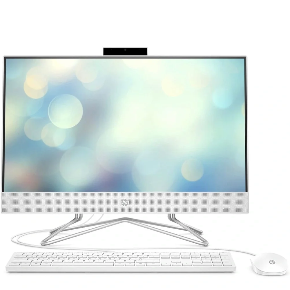 HP All-in-One Computer